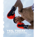 Li Yongzheng: Yes, Today