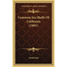 Common Sea Shells Of California (1881)