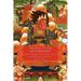 Travels in the Netherworld: Buddhist Popular Narratives of Death and the Afterlife in Tibet