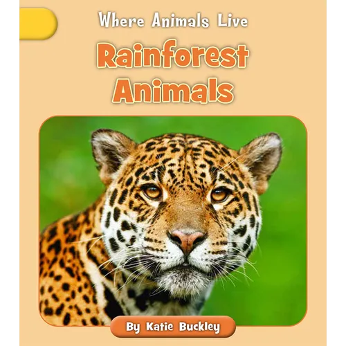 Rainforest Animals