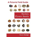 Garden Flower Seeds: A Pictorial Field Guide
