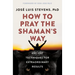 How to Pray the Shaman's Way: Ancient Techniques for Extraordinary Results