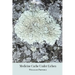Medicine Cache Under Lichen