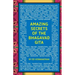 Amazing Secrets of the Bhagavad Gita: A Grandfather and Grandson Discuss Hinduism, Yoga, Reincarnation, and More