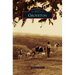 Groveton