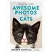 How to Take Awesome Photos of Cats