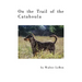 On the Trail of the Catahoula