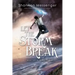 Let the Storm Break