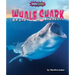 Whale Shark