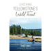 Catching Yellowstone's Wild Trout: A Fly-Fishing History and Guide