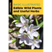 Basic Illustrated Edible Wild Plants and Useful Herbs