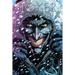Joker: The World
