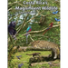 Costa Rica's Magnificent Wildlife