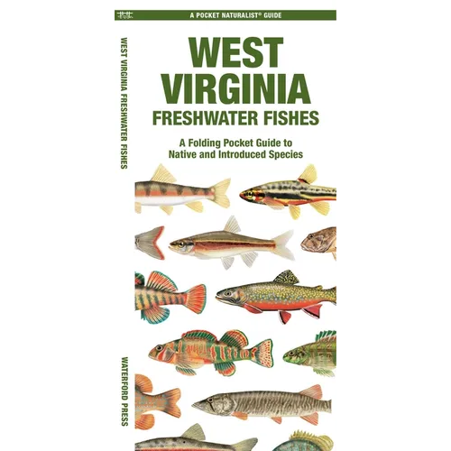 West Virginia Freshwater Fishes: A Folding Pocket Guide to Native and Introduced Species