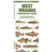 West Virginia Freshwater Fishes: A Folding Pocket Guide to Native and Introduced Species