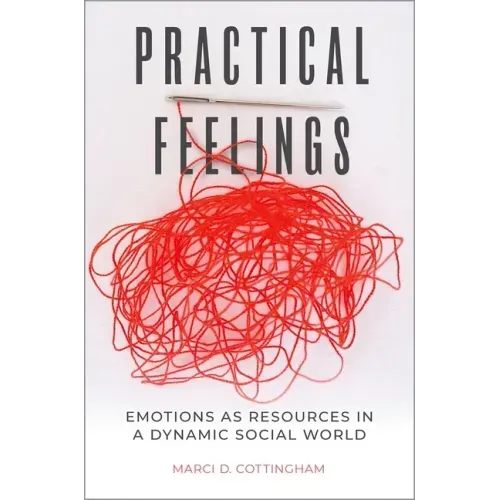 Practical Feelings: Emotions as Resources in a Dynamic Social World