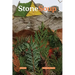 Stone Soup Magazine: June 2022