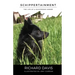 Schippertainment: Life as a Schipperke Owner