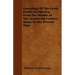 Genealogy Of The Lewis Family In America, From The Middle of The Seventeeth Century Down To The Present Time