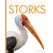 Storks
