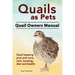 Quails as Pets. Quail Owners Manual. Quail keeping pros and cons, care, housing, diet and health.