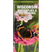 Wisconsin Butterflies & Pollinators: A Folding Pocket Guide to Familiar Species