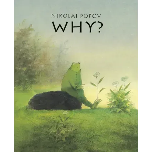 Why?: A Timeless Story Told Without Words