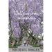 In the Time of the Jacarandas