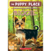 Biggie (the Puppy Place #60): Volume 60