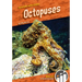 Octopuses