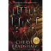 Little Lost Secrets, Large Print Edition