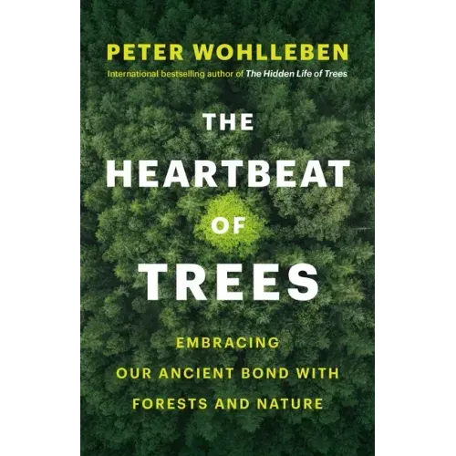 The Heartbeat of Trees: Embracing Our Ancient Bond with Forests and Nature