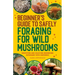 Beginner's Guide to Safely Foraging for Wild Mushrooms: Identifying and Collecting Mushrooms Sustainably with Confidence