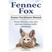 Fennec Fox. Fennec Fox Owners Manual. Fennec Fox care, costs, pros and cons, training, health and feeding.