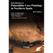 Introduction to Plaeolithic Cave Paintings in Northern Spain