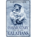 Commentary on Galatians: Annotated
