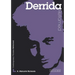 Derrida Reframed: Interpreting Key Thinkers for the Arts