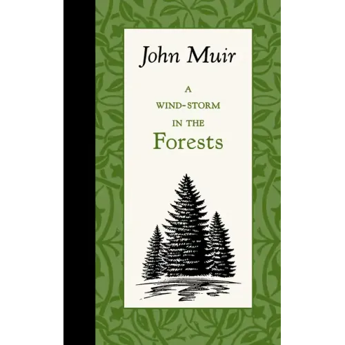 A Wind-Storm in the Forests