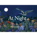 At Night