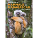 Handbook of Mammals of Madagascar