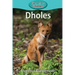 Dholes
