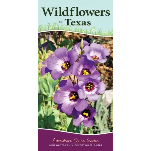 Wildflowers of Texas: Your Way to Easily Identify Wildflowers