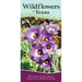 Wildflowers of Texas: Your Way to Easily Identify Wildflowers