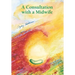 Consultation with a midwife: Sensitive, natural guidance through pregnancy, childbirth, childbed and breast-feeding