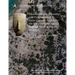Monumentality, Diversity and Fragmentation in Early Cycladic Sculpture: The Finds from the Special Deposit North at Kavos on Keros