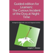 Guided edition for Learners: The Curious Incident of the Dog at Night-Time: Abridged & edited with notes and integrated activities