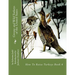 Grouse and Wild Turkeys of the United States: How To Raise Turkeys Book 4