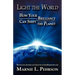 Light the World: How Your Brilliance Can Shift the Planet