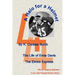 A Halo For A Helmet: The Whole Story Of Ernie Davis
