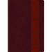 Study Bible-ESV-Large Print Trellis Design